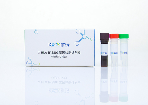 人HLA-B*5801基因检测试剂盒（荧光PCR法）